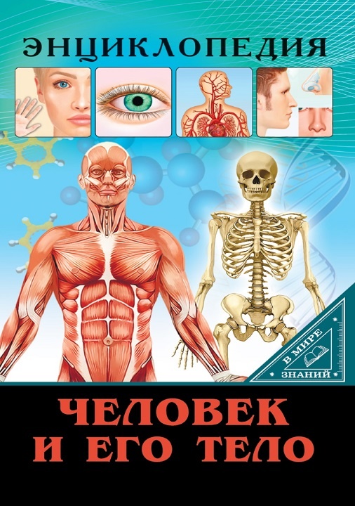 энциклопедия для детей и подростков школьного возраста Анатомия человека